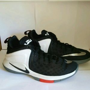 Nike Men's LeBron Witness lV Basketball Shoes